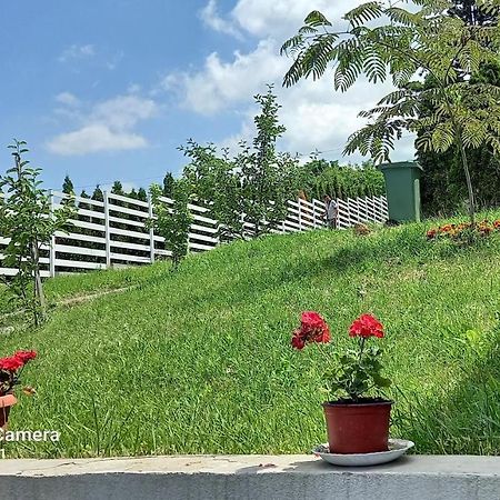 Fruskogorska Idila Apartmani Vrdnik Luaran gambar