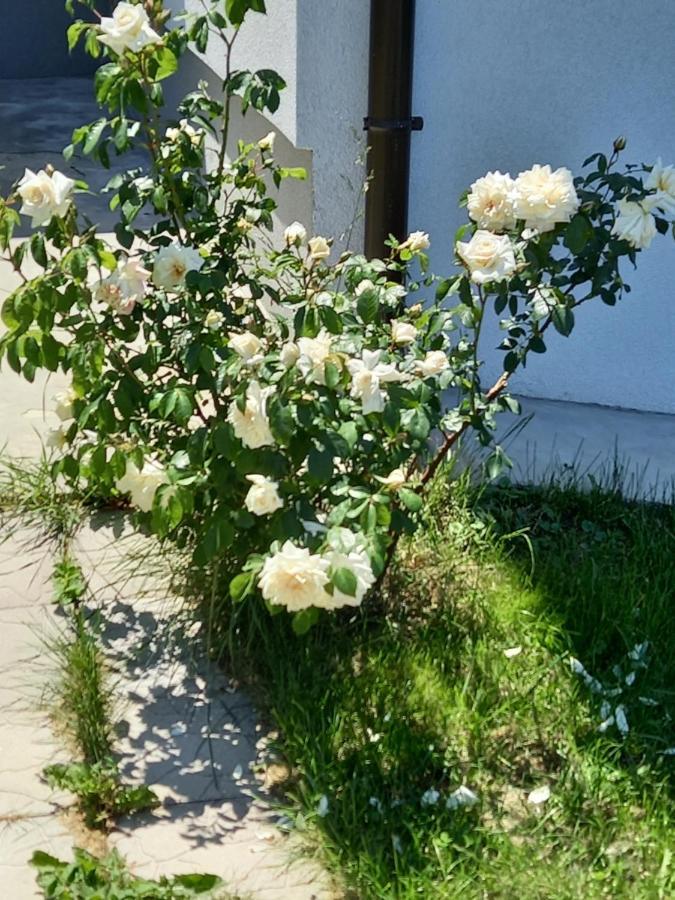 Fruskogorska Idila Apartmani Vrdnik Luaran gambar