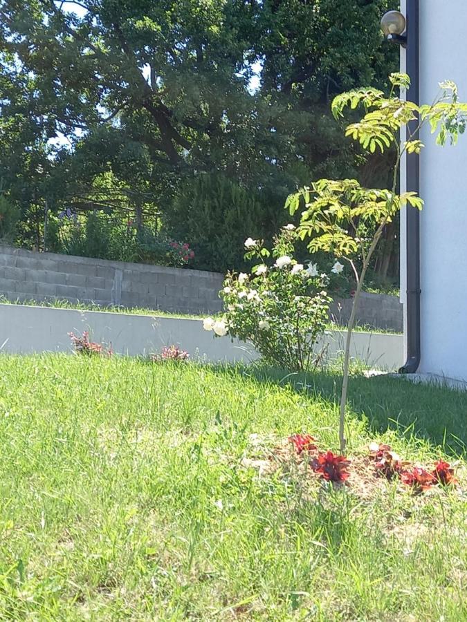 Fruskogorska Idila Apartmani Vrdnik Luaran gambar